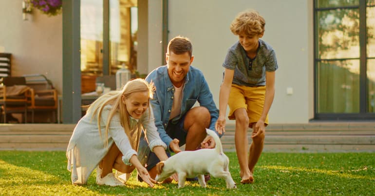 Pet Insurance
